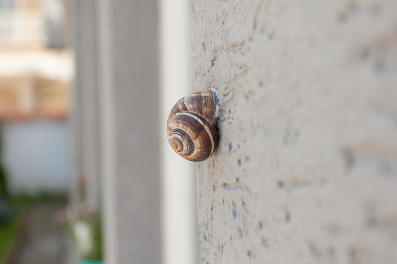 Astoria Ms Apartmentsオフリド エクステリア 写真